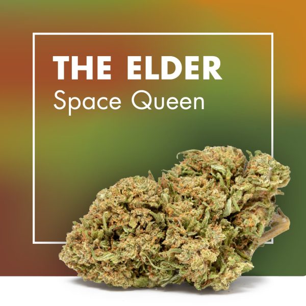 The Elder