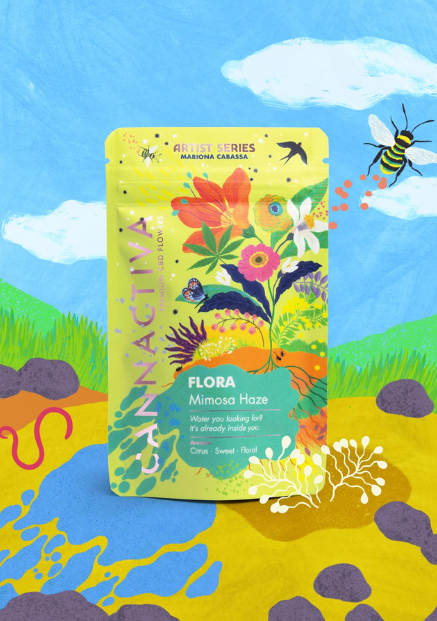 Flores CBD y packs de Cannactiva