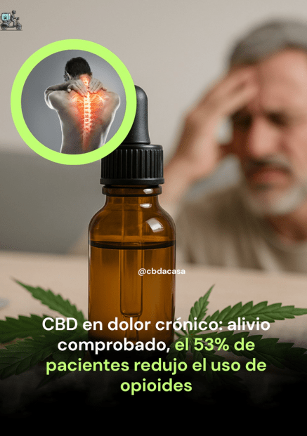 Packs bienestar y estilo de vida CBDaCasa