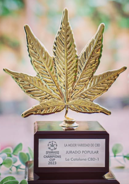 Flores, hash y CBDx de La Catalana CBD